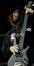 Korn - foto door Erik Luyten